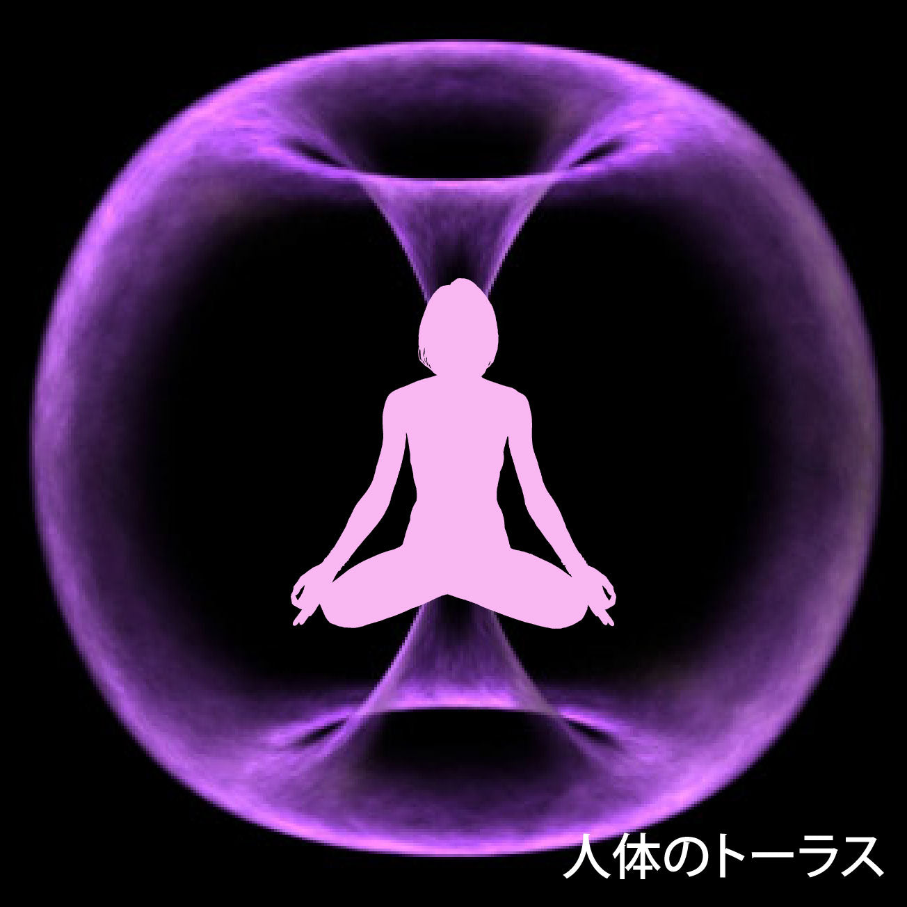 テラファイトコスモ【製造元】(ゼロ磁場発生装置)