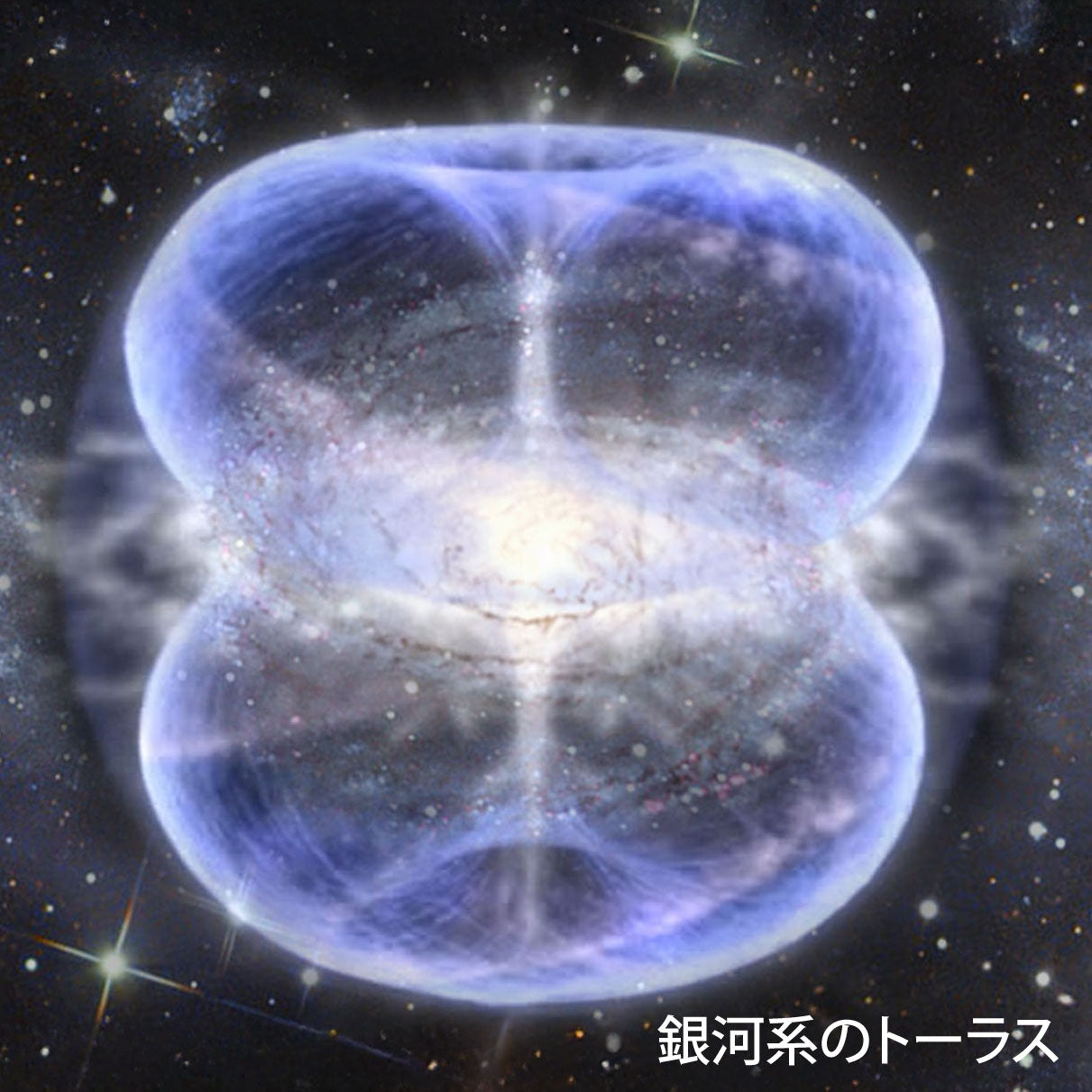 テラファイトコスモ【製造元】(ゼロ磁場発生装置)