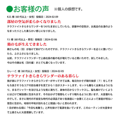 テラファイトきらきらワンダー【製造元】（ゼロ磁場発生装置）