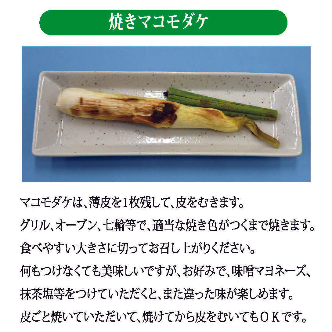 聖地神河のマコモダケ
