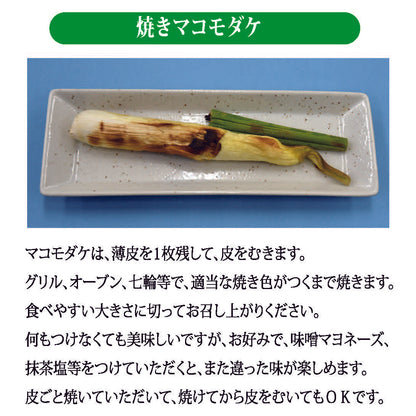 聖地神河のマコモダケ