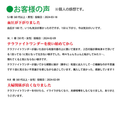 テラファイトワンダー【製造元】（ゼロ磁場発生装置）