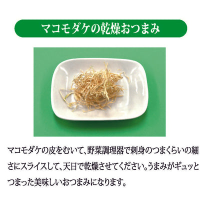 聖地神河のマコモダケ