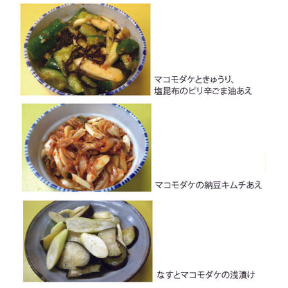 聖地神河のマコモダケ